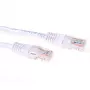 Câble patch ACT blanc 2 m U/UTP CAT6 avec connecteurs RJ45