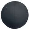 Ballon d'assise actif Leitz Ergo avec fonction stop 65 cm, gris, taille unique, 150 kg, TÜV, 65 cm, 2,87 kg