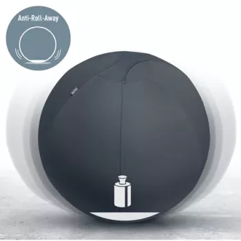 Ballon d'assise actif Leitz Ergo avec fonction stop 65 cm, gris, taille unique, 150 kg, TÜV, 65 cm, 2,87 kg