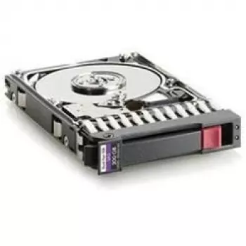 Disque dur 300 Go 10 000 tr/min SAS SFF