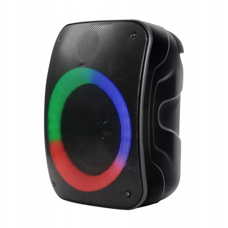 Enceinte Bluetooth Rebelt ec STAGE 300