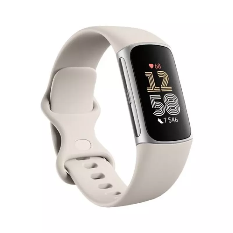 Produit Fitbit GA05185-EU Argent