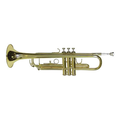 Instruments à vent et cuivres