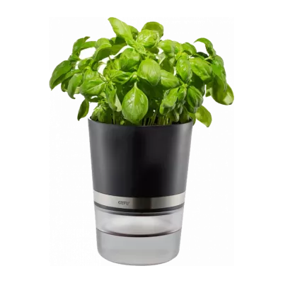 Pots pour herbes aromatiques