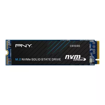 SSD interne PNY CS1030 256 Go M.2 2280 PCIe NVMe Gen3 x4 (bulk)
