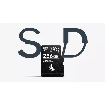 Carte mémoire Angelbird AV PRO microSD 256 Go V30 MK2 (AVP256MSDMK2V30)