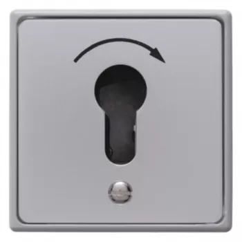 Hager WDE4450 interrupteur à clé encastré pour demi-cylindre profilé fonte IP44 1 contact NO