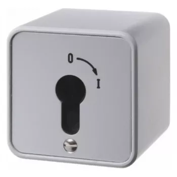 Hager WDE4466 interrupteur à clé en saillie pour demi-cylindre profilé fonte de zinc IP54