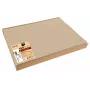 PROnappe 100 sets de table beige 30 x 40 cm