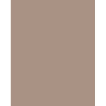 Carton Folia 614/50 73 Cappuccino uni A4 300 g/m² 50 feuilles