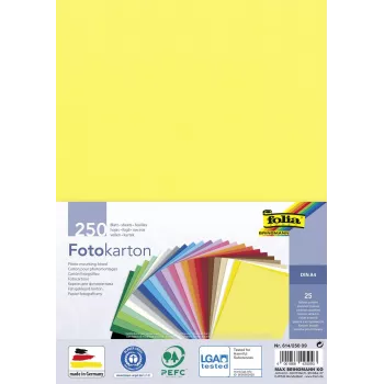 Carton photo Folia couleurs assorties 300 g/m² 250 feuilles A4