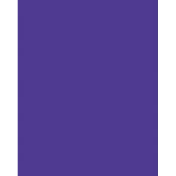 Folia 614/50 32 - violet - uni - A4 (210 x 297 mm) - 300 g/m² - 50 feuilles - Allemagne