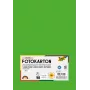 Folia 614/50 55 - vert - uni - A4 (210 x 297 mm) - 300 g/m² - 50 feuilles - Allemagne