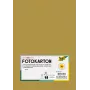 Folia 614/50 65 - or - uni - A4 (210 x 297 mm) - 300 g/m² - mat - 50 feuilles