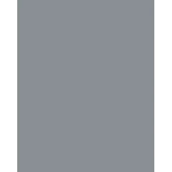 Folia 614/50 84 - gris - uni - A4 (210 x 297 mm) - 300 g/m² - 50 feuilles - Allemagne