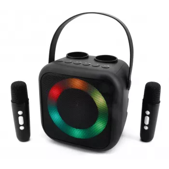 Soundmaster BT2024SW enceinte Bluetooth, lumière disco, 2 microphones, noire