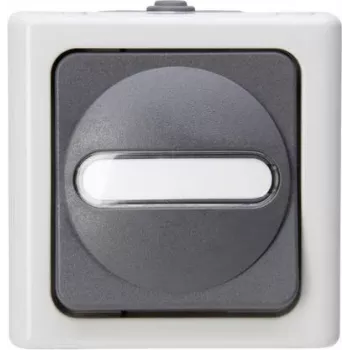 Interrupteur à bouton-poussoir Heinrich Kopp 1P gris/blanc thermoplastique IP44 78 mm