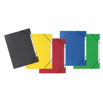 PAGNA Chemise organisatrice 5 compartiments Basic couleurs assorties