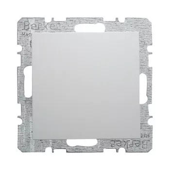 Berker 6710091909 cache aveugle avec plaque centrale, blanc polaire mat