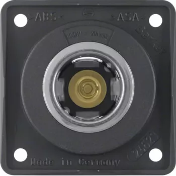 Berker Prise 845712505 12V anthracite mat