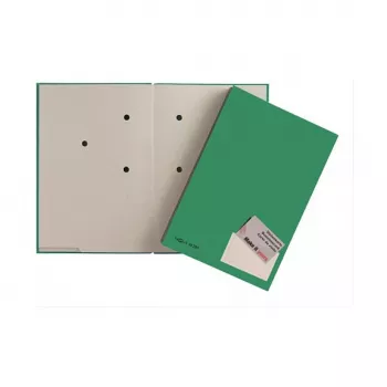 PAGNA Chemise de présentation A4 carton vert satiné portrait 24205-03