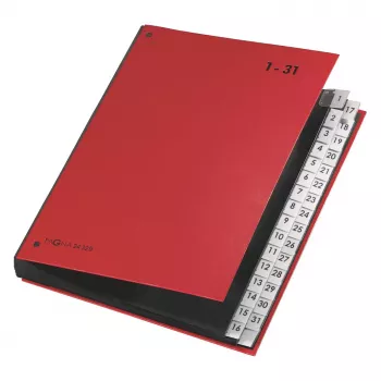 PAGNA Organisateur de bureau 32 compartiments - A4 - carton - rouge - portrait - 340 mm - 40 mm