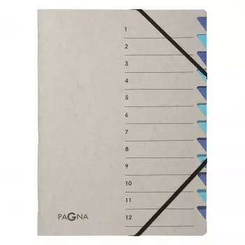 Pagna 44312-02 Classeur organisateur 12 compartiments, A4, gris