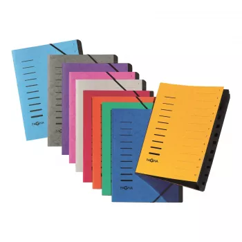 Pagna 40058-08 Classeur organisateur 7 compartiments, A4, blanc