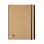Pagna 44012-11 Chemise porte-documents - A4 - carton - marron - 1 pièce