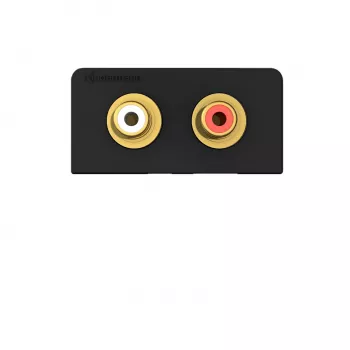 Module de connexion audio L/R Kindermann anthracite KIN 7457000510