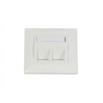 Plaque de recouvrement pour module keystone Synergy 21, encastrée, 2 emplacements, blanc pur, cadre carré (S216330V2)