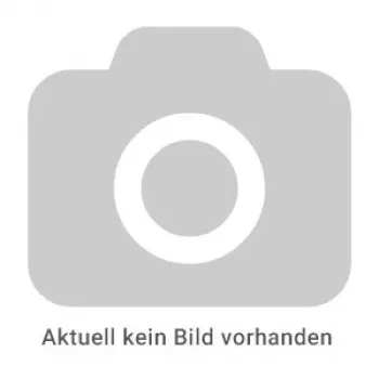 REINER Paginierstempel Modell B6 - Automatic Numbering Machine, 6 Digits, 4.5 mm, Black