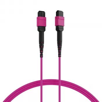 EFB ELEKTRONIK Câble de raccordement MPO-PLUS(F)-MPO-PLUS(F) OM4 12 fibres type B LSZH violet bruyère 3m