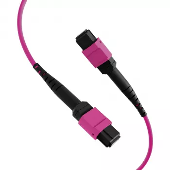EFB ELEKTRONIK Câble de raccordement MPO-PLUS(F)-MPO-PLUS(F) OM4 12 fibres type B LSZH violet bruyère 3m