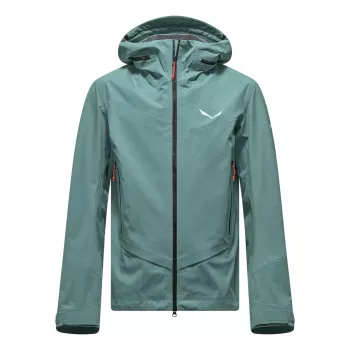Veste Ortles GTX 3L SALEWA homme Epe/Willow EU 48/M