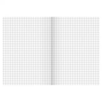 Carnet BRUNNEN FACT!plus A6 quadrillé 96 feuilles marron