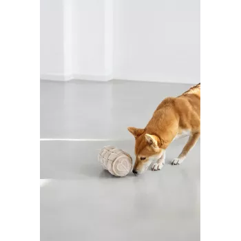 Jouet de flair pour chien PALOPA Kalpi Out Milk rouleau cylindrique