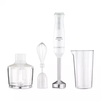 Mixeur plongeant Zelmer ZHB4562S Pulsar Deluxe Max gris