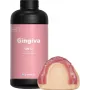 SHINING GM12 masque gingival dentaire 1 kg résine 3D