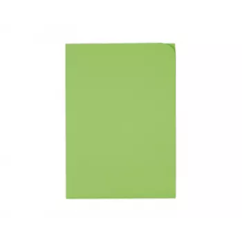 Classeur d'organisation ELCO Ordo Discreta A4, 220 x 310 mm, 120 g/m², vert intense, 100 pièces (29466.62)