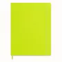 Moleskine Classic carnet A4 ligné Myrtle Green couverture souple