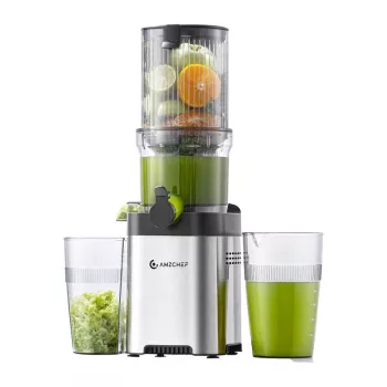Extracteur de jus lent AMZCHEF CE-ZM1902M-SV (argent)