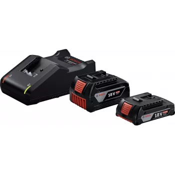 Ensemble de démarrage 18 V (GBA 18V 4.0/2.0Ah + GAL 18V-40 Professional) (noir, 2 batteries Li-Ion, AMPShare Alliance)