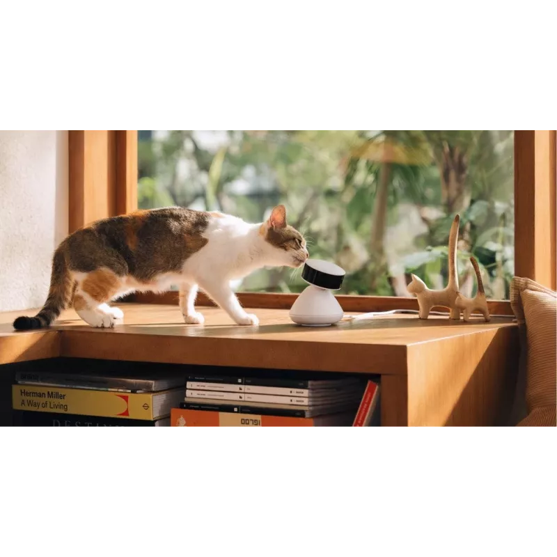 PETLIBRO Scout Caméra Smart AI