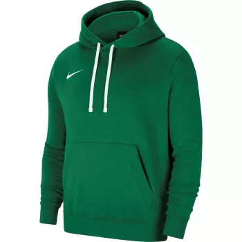 Sweat à capuche Nike Team Club 20 pour homme, Pine Green/White
