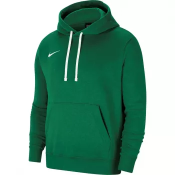 Nike Park 20 Hoodie Pine Green CW6957 302 Men's Fleece Pullover
