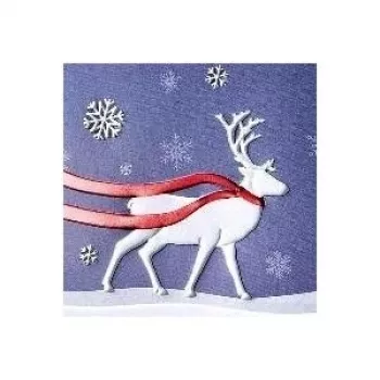 Sigel carte de Noël Winter's Eve brillante DIN long 105 x 210 mm, 10 cartes avec enveloppes