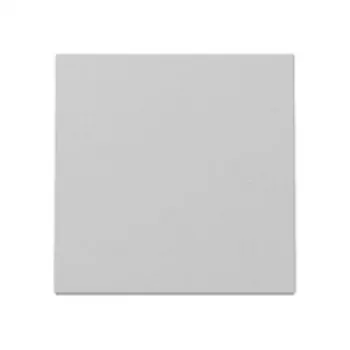 Gira System 55 Wippe, gris mat, simple, clip-on, sans halogène, résistant aux UV