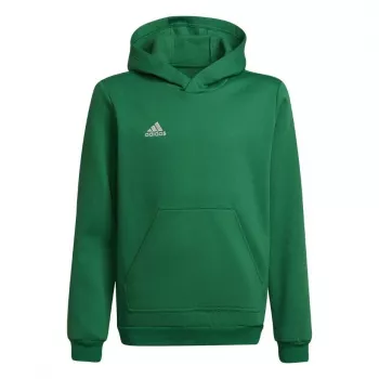 Sweat à capuche adidas Entrada 22 enfant vert 116 cm