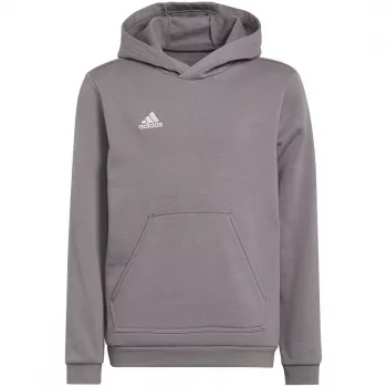 adidas Entrada 22 Hoody sweat-shirt enfant gris 152 cm